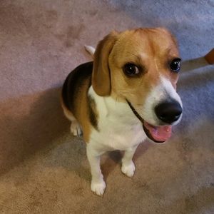 Meet your Posher, Caitlin